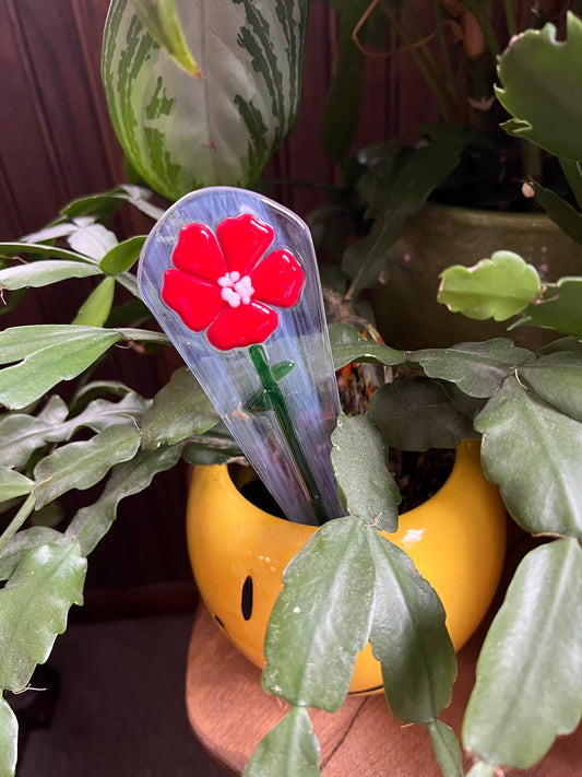 Red Flower Plant Spike